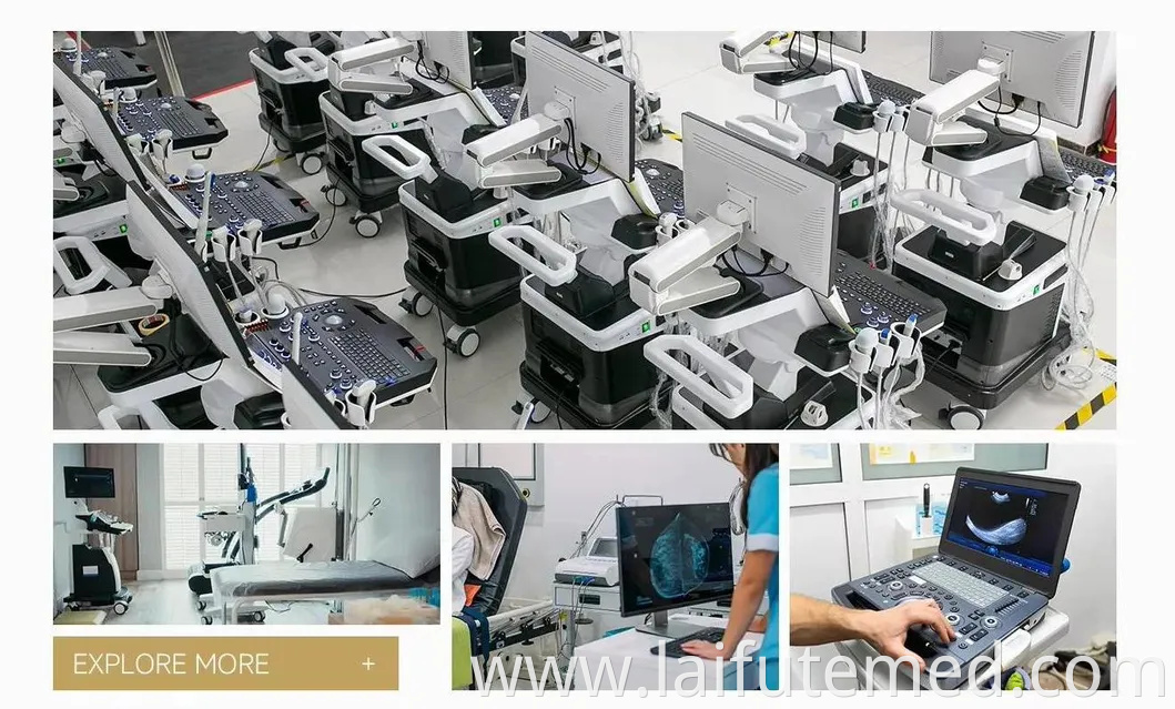 High Quality Medical Portable ICU Pet Incubator for Veterinary Clinic Vet Incubator with Diagnosis Properties for Animal Use